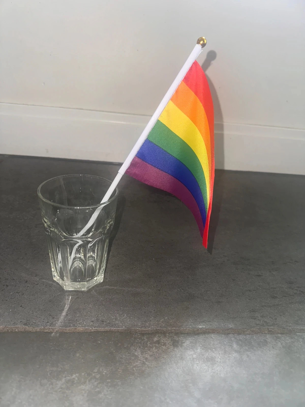 Mini Pride Vlag Regenboog